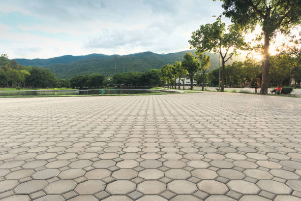 Best Driveway Pavers Near Me  in Holly Springs, NC